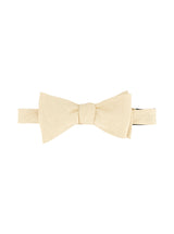SOLID PAISLEY BOW TIE