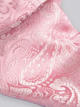 SOLID PAISLEY TIE