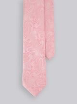 SOLID PAISLEY TIE