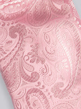 SOLID PAISLEY TIE